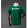 Mens Palmeiras White and Green Striped Special Edition Jersey 2025/26 rear view showing authentic team styling