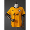 Mens Botafogo GK Home Jersey 2026/27 front view in golden amber with lone star crest and vbet sponsor