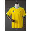 Mens Cruzeiro Brazil Edition Jersey 2026/27 front view in yellow and green with 5-star crest
