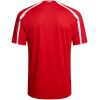 Mens Turkey Retro Home Jersey 2008 Mens Turkey Retro Home Jersey 2008 rear view showing authentic team styling