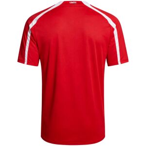 Mens Turkey Retro Home Jersey 2008 rear view showing authentic team styling