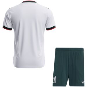 Mens Mexico Away Kit 2026 rear view of shirt and shorts