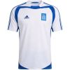 Mens Greece Retro Away Jersey 2004 front view in white with royal blue panels and Hellas flag crest