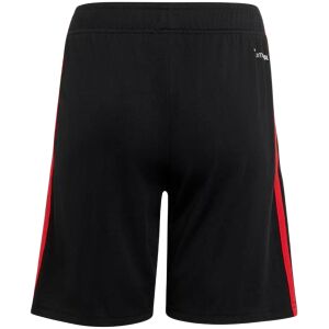 Mens Mexico Third Shorts 2026 rear view showing clean waistband and athletic cut