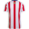 Mens Chivas 120th Anniversary Jersey 2026 Mens Chivas 120th Anniversary Jersey 2026 rear view showing authentic team styling