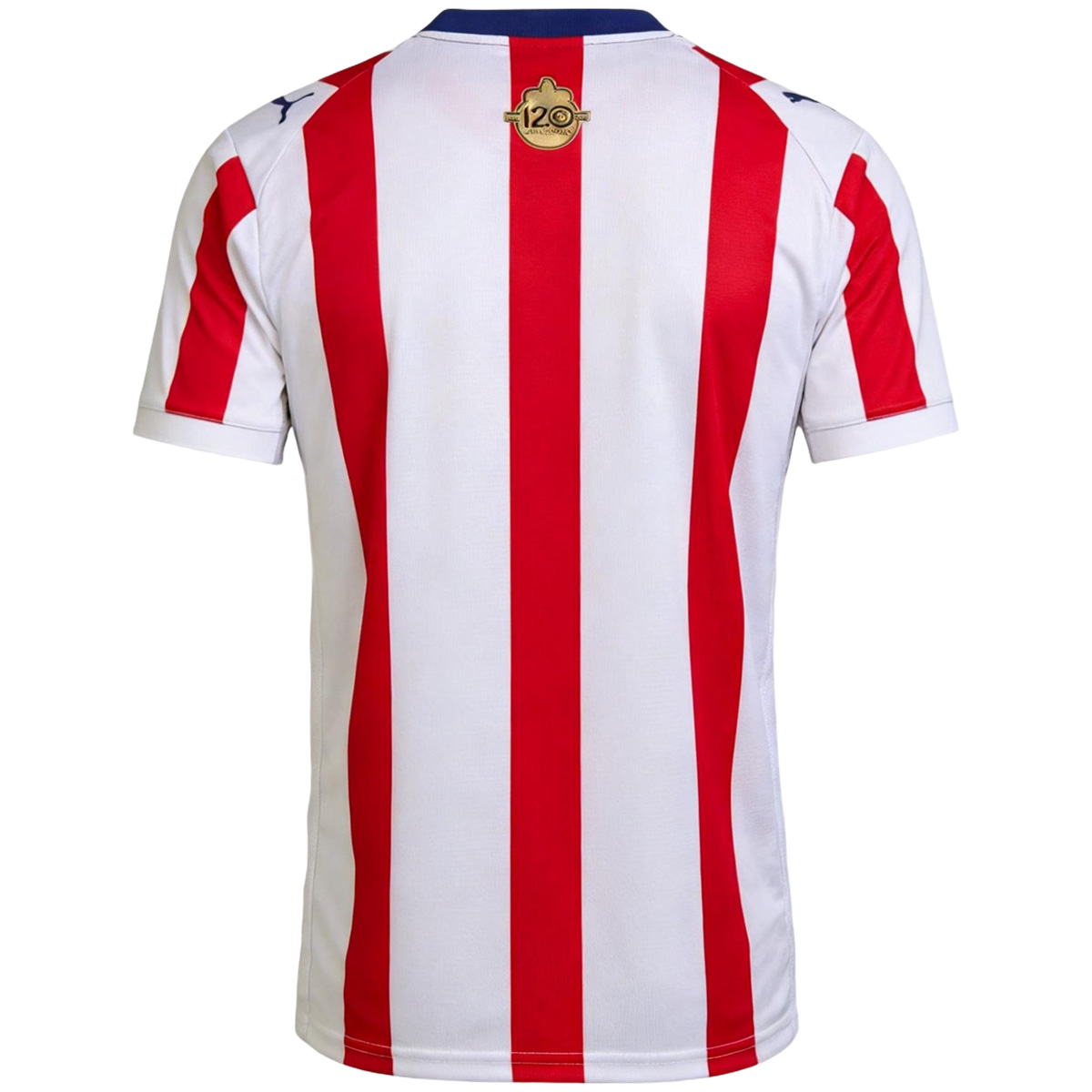 Mens Chivas 120th Anniversary Jersey 2026 Mens Chivas 120th Anniversary Jersey 2026 rear view showing authentic team styling