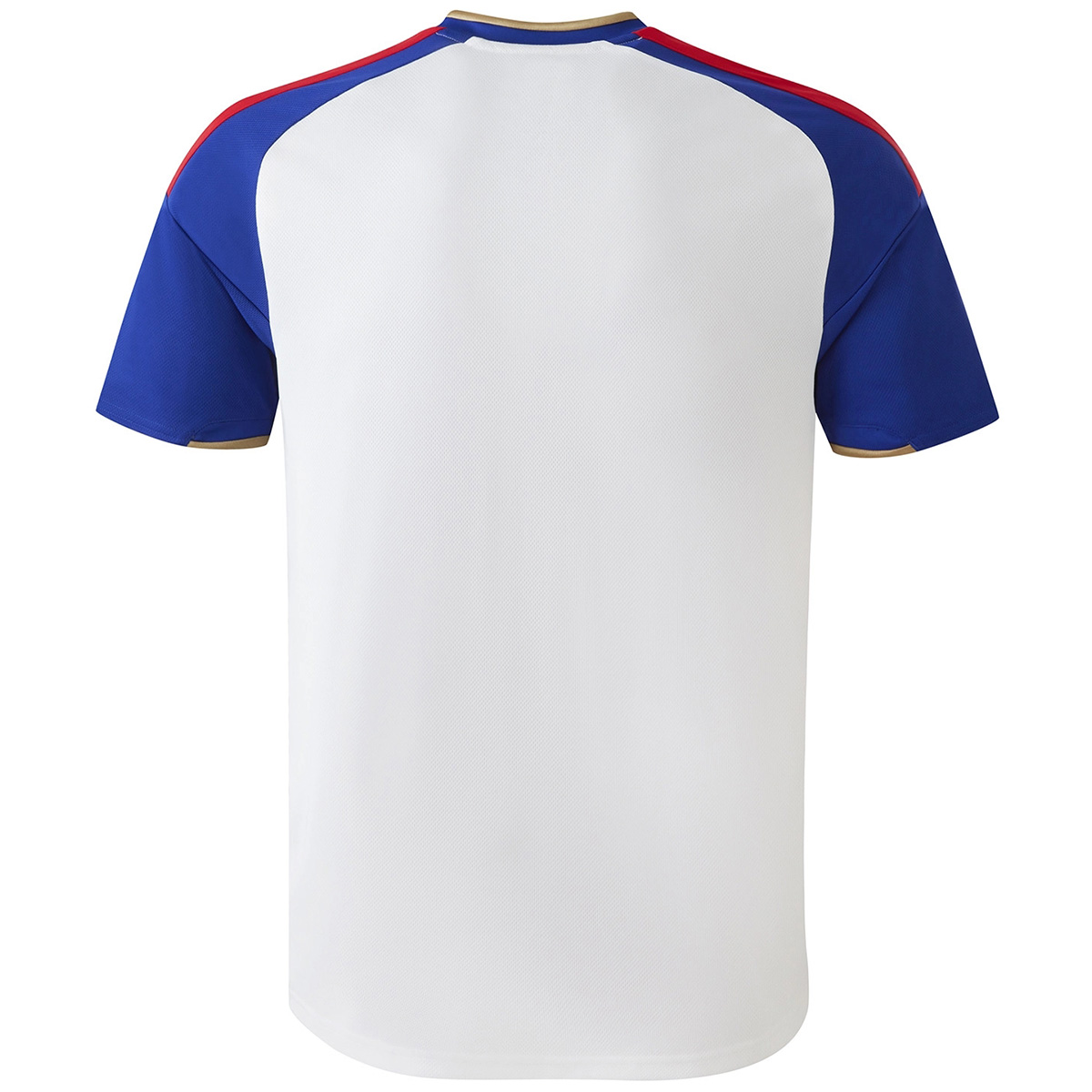 Mens Olympique Lyonnais Home Jersey 2026/27 Mens Olympique Lyonnais Home Jersey 2026/27 rear view showing authentic team styling