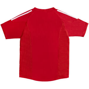 Mens Turkey Retro Home Jersey 2002 rear view showing authentic team styling