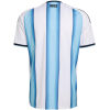 Mens World Cup Argentina Final Match With Patches Home Jersey 2026 Mens World Cup Argentina Final Match With Patches Home Jersey 2026 rear view showing authentic team styling