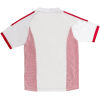 Mens Turkey Retro Away Jersey 2002 rear view showing authentic team styling
