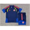 Kids Colombia Royal Blue Training Kit Kit 2026 rear view of shirt and shorts