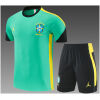 Mens Brazil Jordan Collaboration Light Green Training Kit 2026 Mens Brazil Jordan Collaboration Light Green Training Kit Kit 2026 rear view of shirt and shorts
