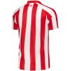 Mens Sunderland AFC Home Jersey 2026/27 Mens Sunderland AFC Home Jersey 2026/27 rear view showing authentic team styling