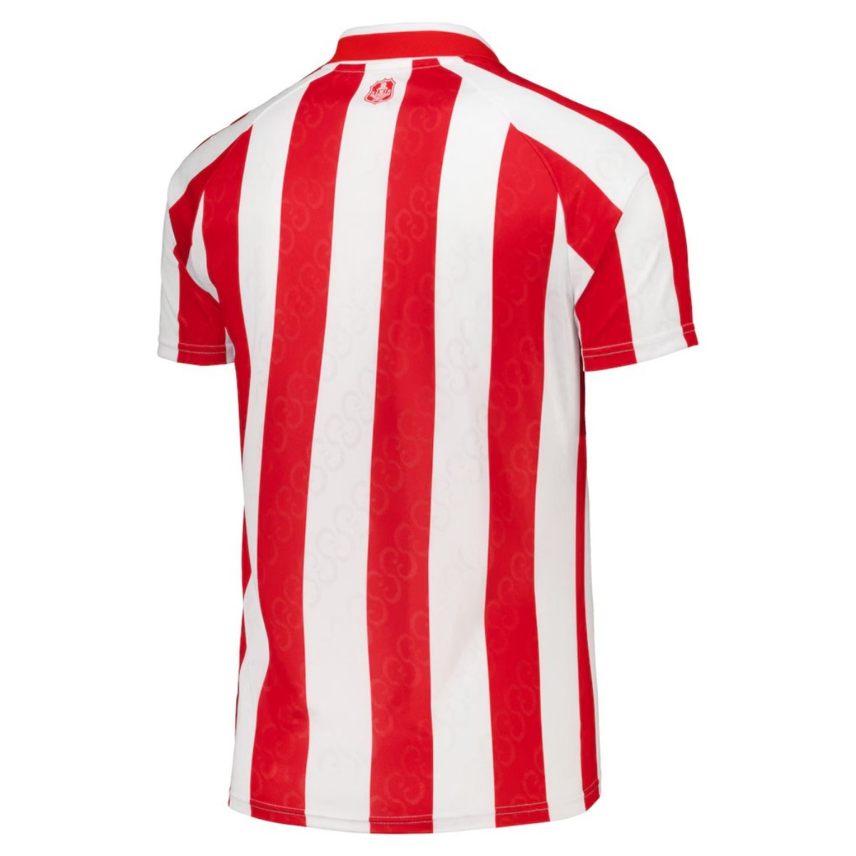 Mens Sunderland AFC Home Jersey 2026/27 Mens Sunderland AFC Home Jersey 2026/27 rear view showing authentic team styling