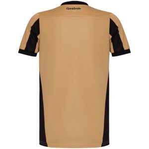 Mens Botafogo gold Goalkeeper Jersey 2024/25 rear view showing matching team styling